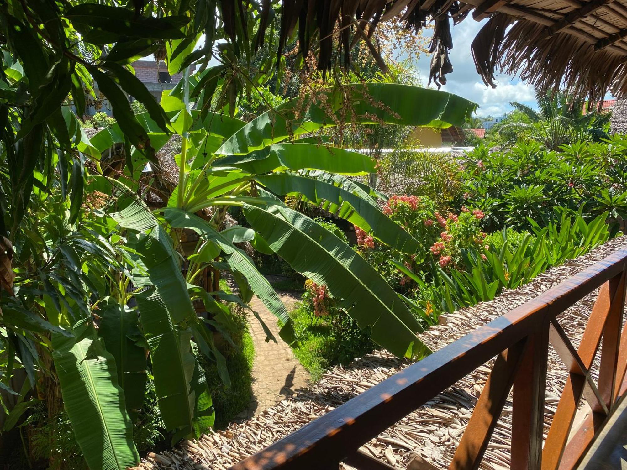 La Perle Rare De Nosy Be Hotel Ambatoloaka  Ngoại thất bức ảnh