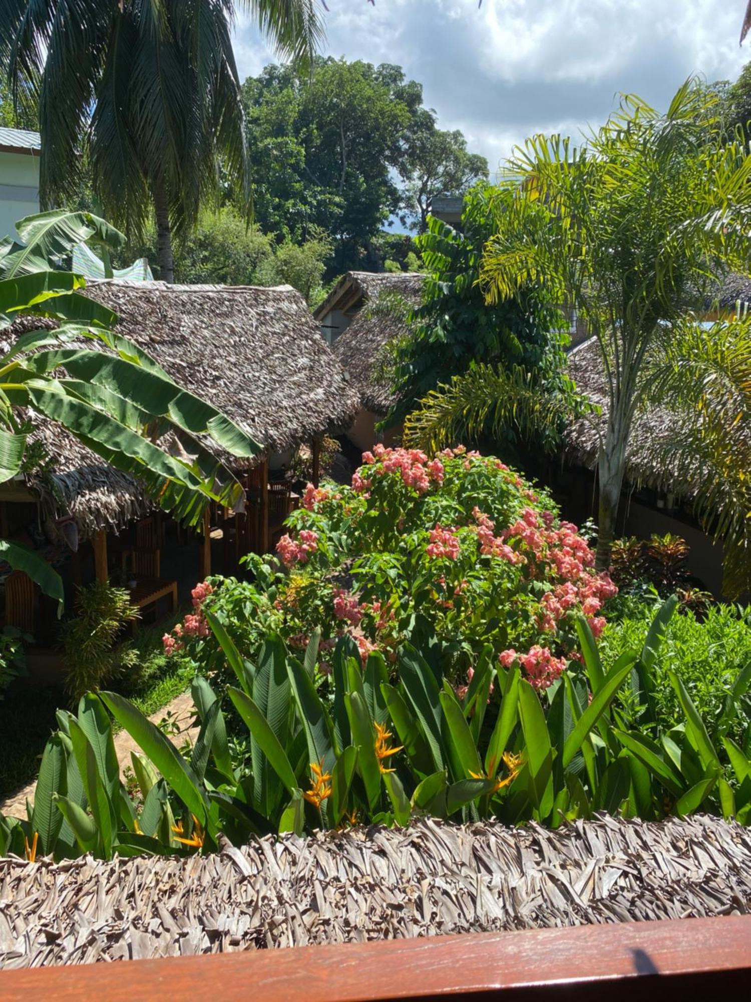 La Perle Rare De Nosy Be Hotel Ambatoloaka  Ngoại thất bức ảnh
